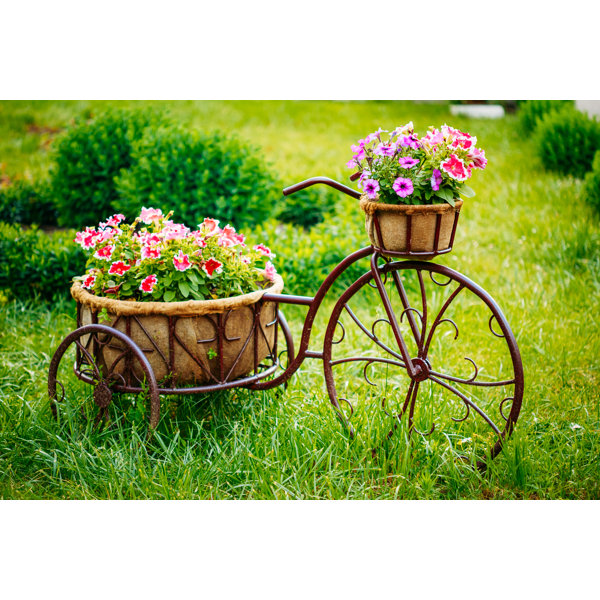 Vintage Bicycle With Flower Basket Canvas Print Wayfair